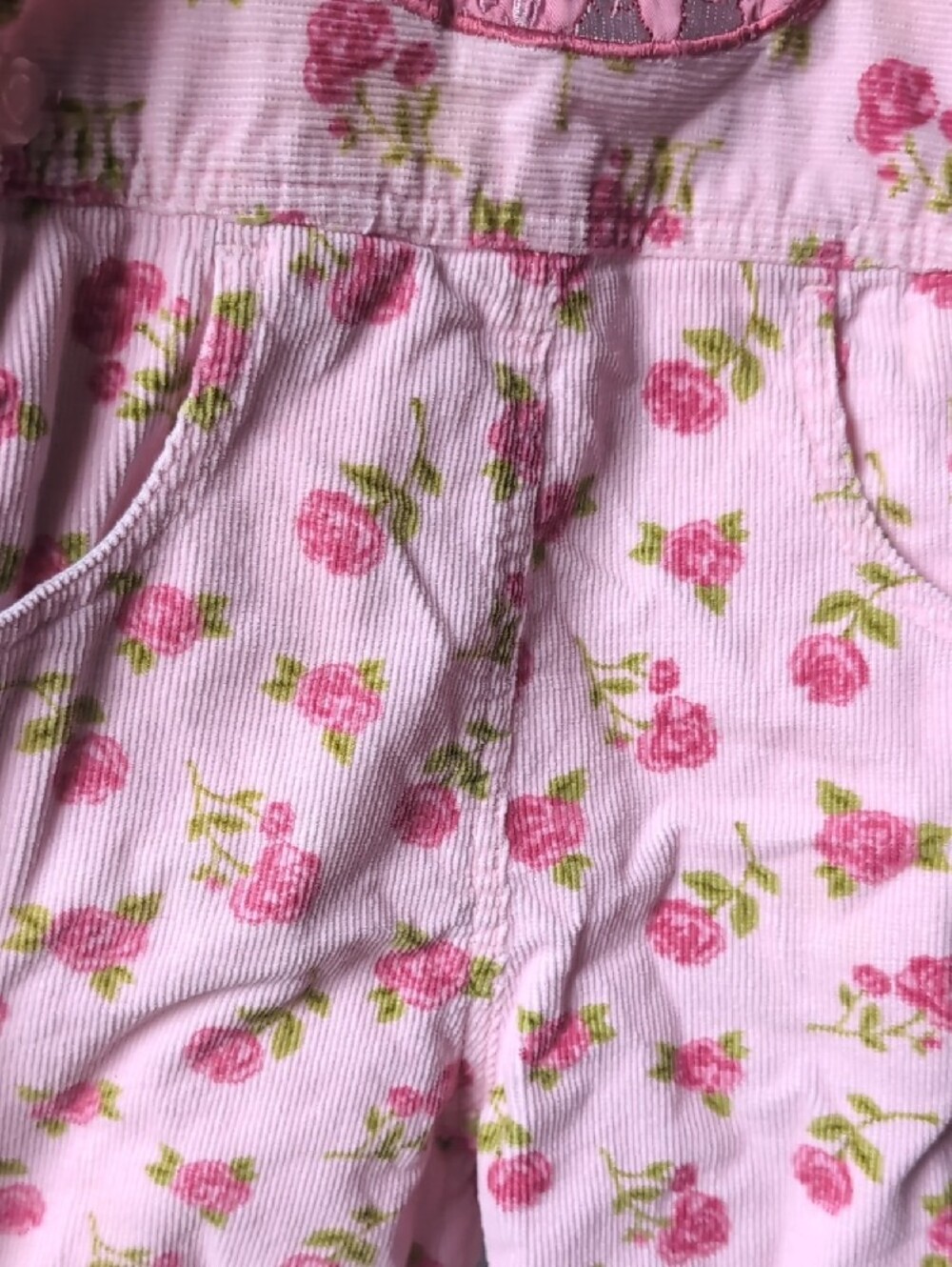 Sesame Street Pink Floral Girls' Overalls, Elmo And Big Bird - Picture 4 of 12